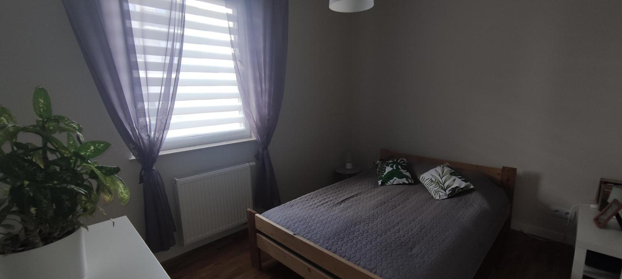 Apartament Zielone Zamienie Экстерьер фото